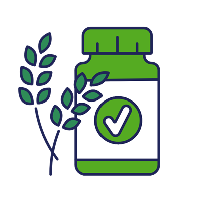 Supplement